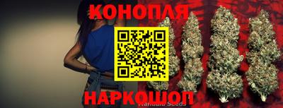 мет Кингисепп