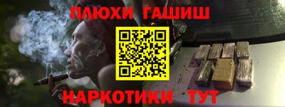 мет Кингисепп